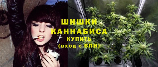 ГАЛЛЮЦИНОГЕННЫЕ ГРИБЫ Баксан