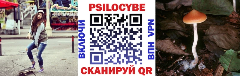 Галлюциногенные грибы GOLDEN TEACHER  Питкяранта 